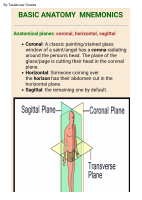Anatomy Mnemonics (TG).pdf